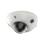 Camera IP Dome 4MP Hikvision DS-2CD2546G2-IS - Ảnh 2