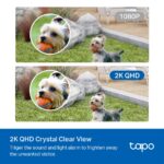 Tapo C420S1 - Hệ Thống Camera An Ninh Không Dây Thông Minh, Hệ Thống 1 Camera - Ảnh 6