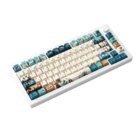 Bàn phím cơ AKKO MOD 007B HE PC Joy of Life (Hotswap,RGB / USB Type C 8K Hz/ Magnetic Switch / Rapid Trigger) - Ảnh 3