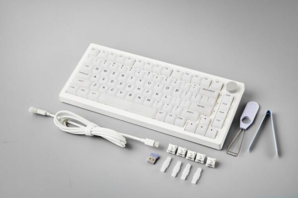 Bàn phím cơ AKKO 5075B Plus Transparent ASA White/Piano Pro (Hotswap/RGB/Multi-modes) - Ảnh 5